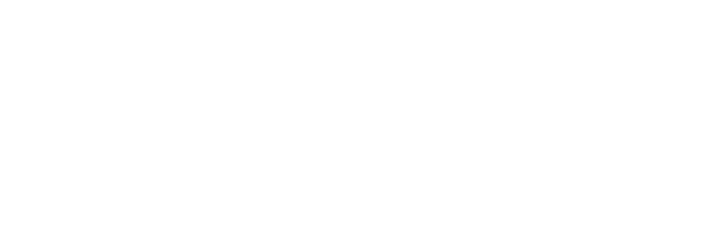 Logo NATURAL ORIGINS