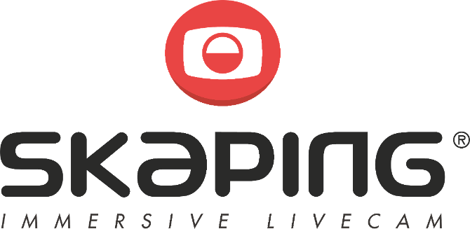 Logo SKAPING