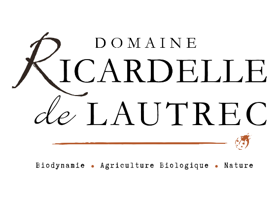 logo-seller