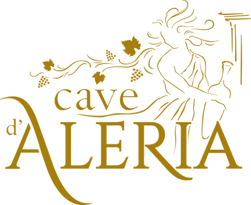 logo-seller