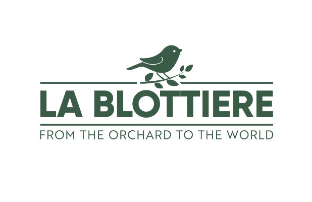 logo-seller