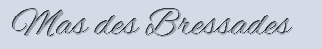 logo-seller