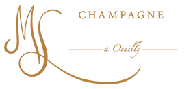 logo-seller