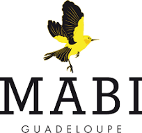 logo-seller