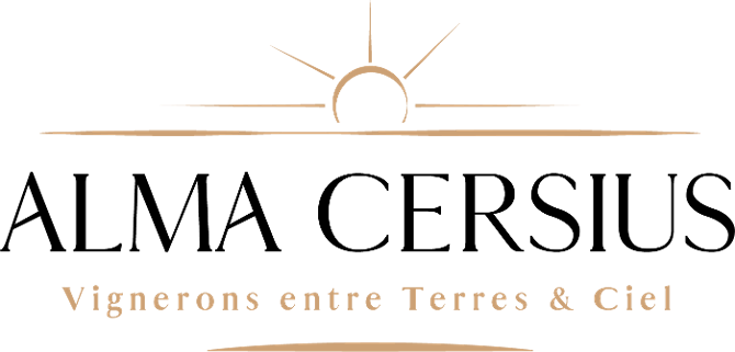 logo-seller
