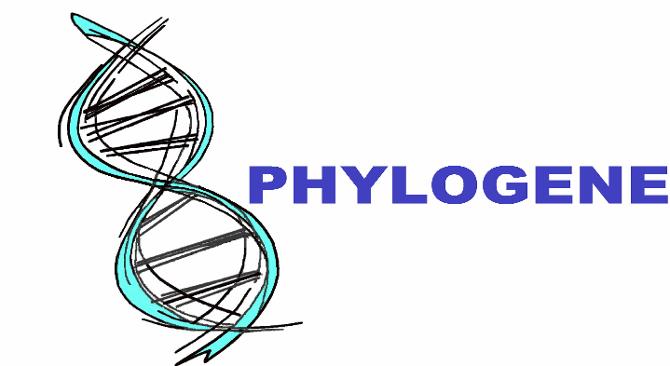 logo seller
