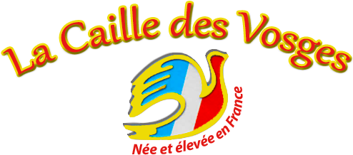 logo seller
